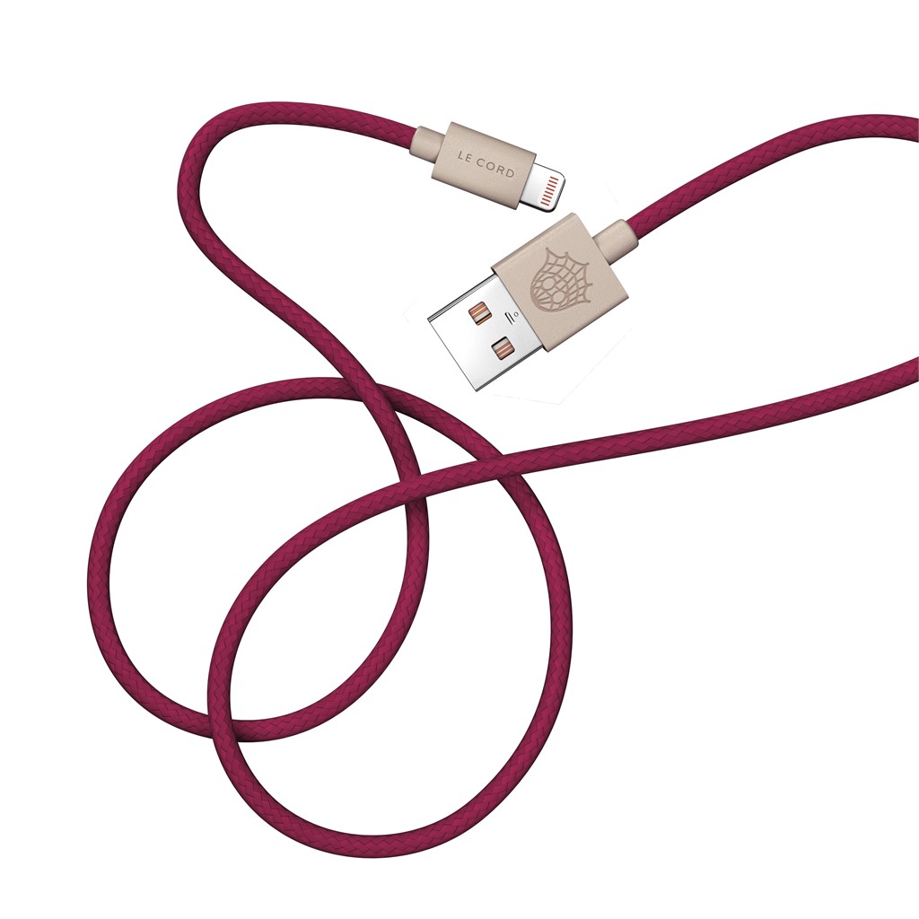 Ghost Net 2.0  (USB-A to Lightning)