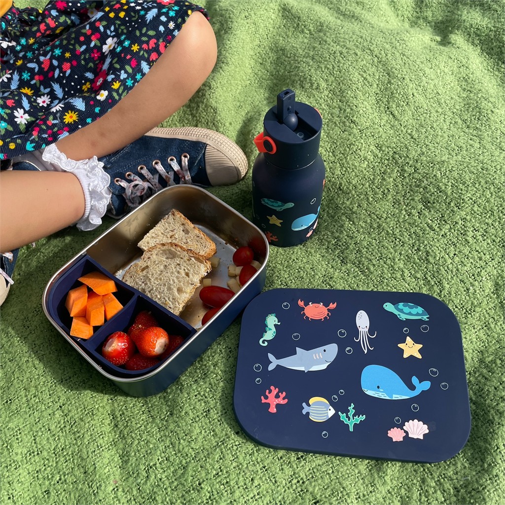 Little Lund Lunch Box